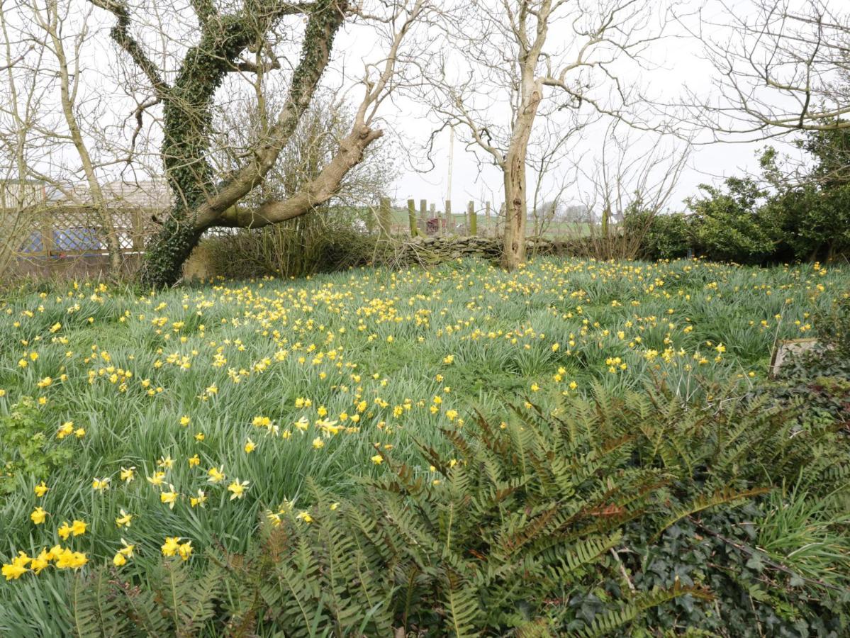 Bodegri Cottage Llanfflewyn Bagian luar foto